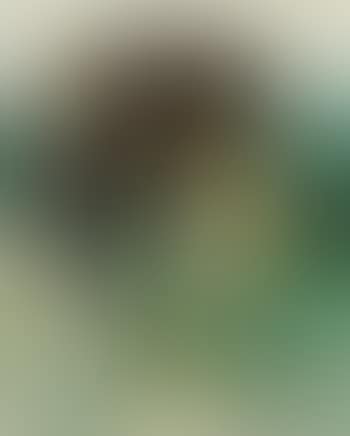 Pferd und Reiter (preview)