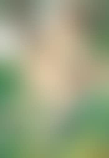 Nu (preview)