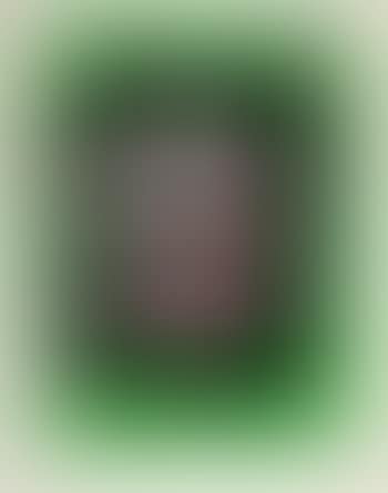 Untitled (from The Basque suite) (preview)