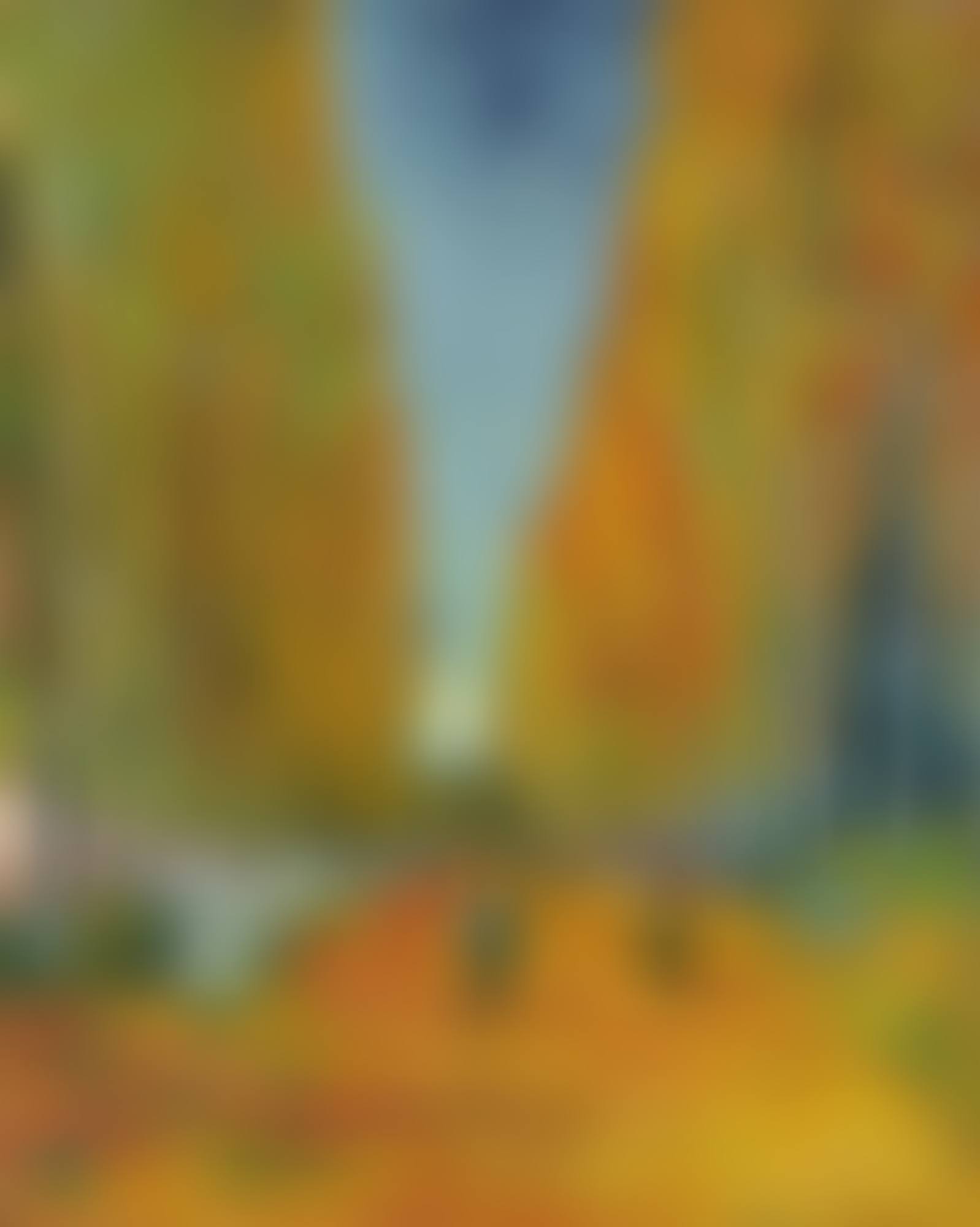 L'ALLÉE DES ALYSCAMPS (preview)