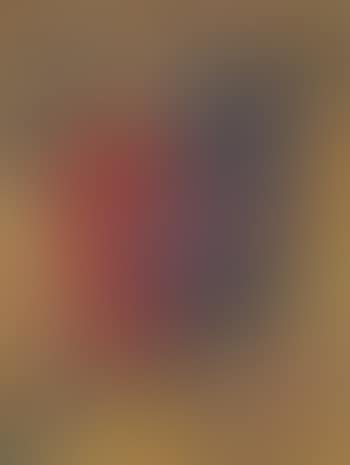 Lavanderas con zopilotes (preview)