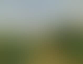 Paysage à Cagnes (preview)