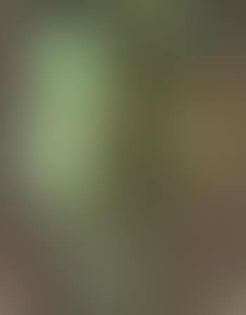 Vase on a Pedestal (preview)