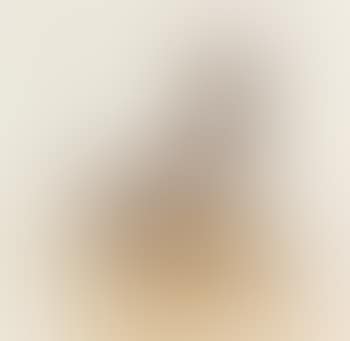 Sillion (preview)