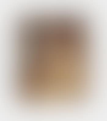 Buste (preview)