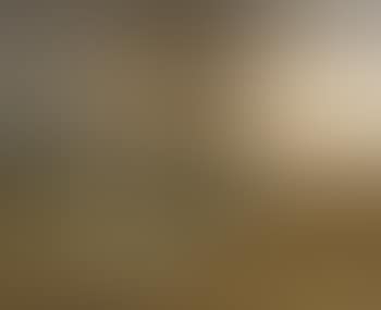 A Steamship in Rough Seas (preview)