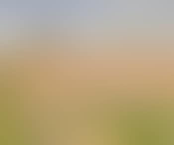 A landscape with Plough in the Summer (preview)