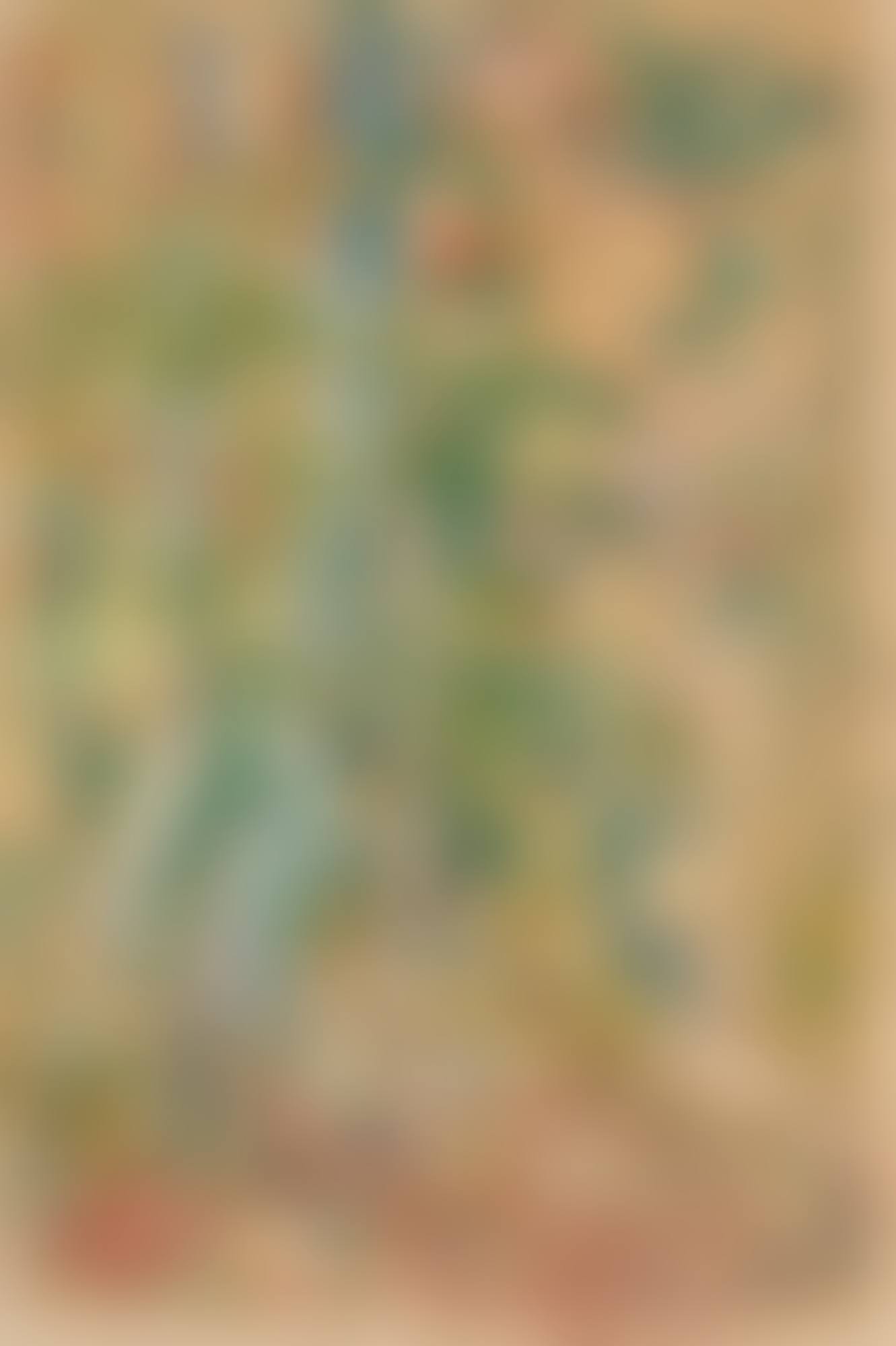 ÉTUDE DE FORÊT (preview)