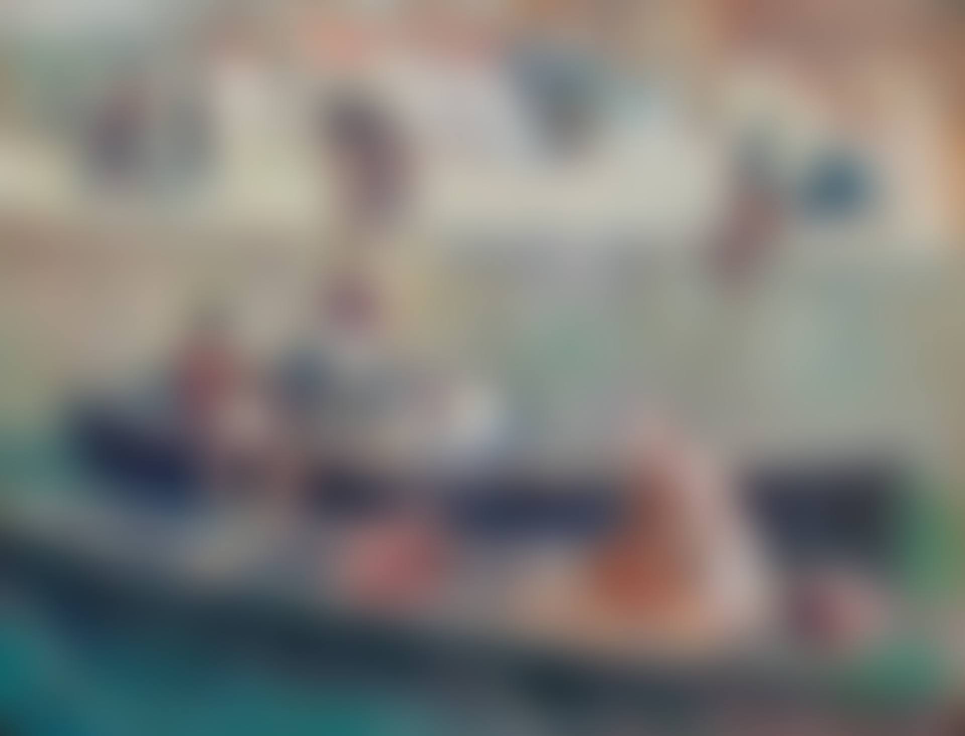 LA SEINE, LES LAVANDIÈRES (preview)