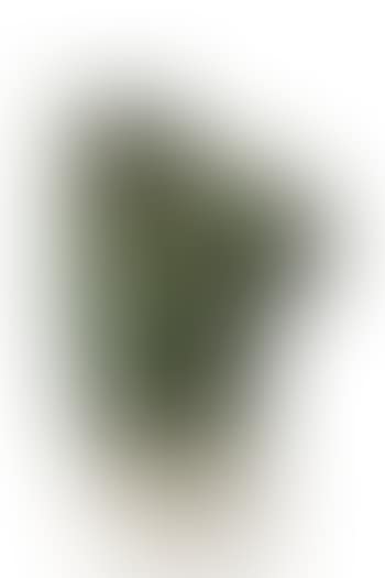 Asclepios (preview)