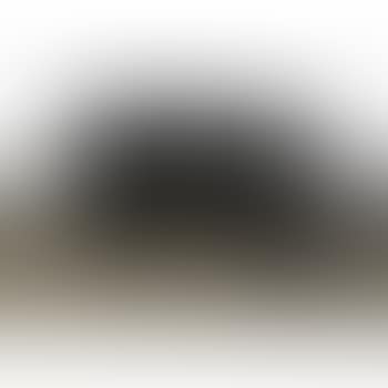[Untitled] (preview)