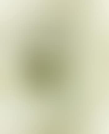 Gesicht (preview)