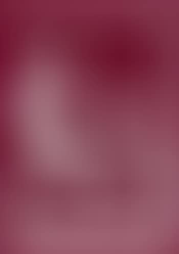 Doppelprofil (preview)