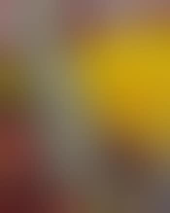 Stamm.feld (preview)