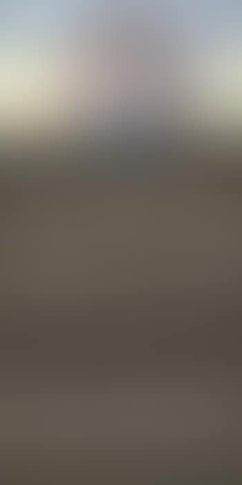 Ohne titel (preview)