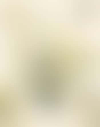 Ohne titel (preview)