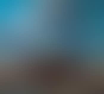 Landschaft mit Reisenden (preview)