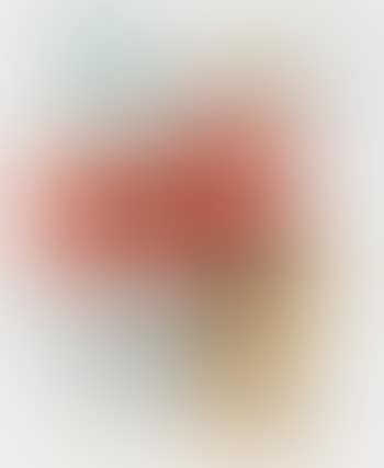 Le toreau (preview)