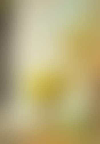 Holsteinische Schweiz (preview)