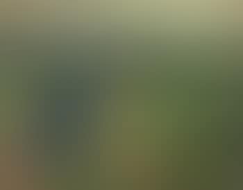 Frau Bei Der Gartenarbeit (preview)