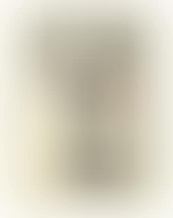 Monokelgesicht (preview)