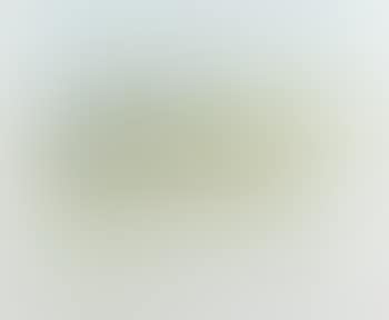 [Untitled] (preview)