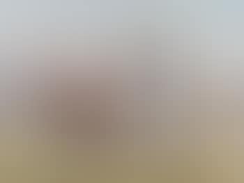 Horses (preview)
