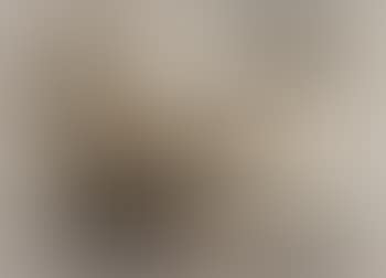 Disegno (preview)