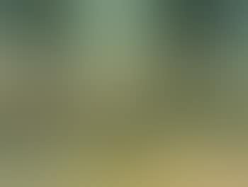 Aus Rom (preview)