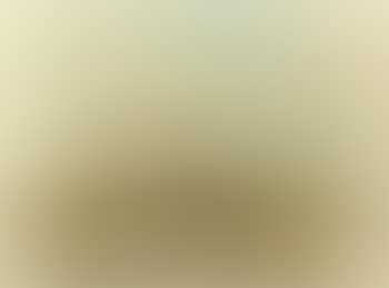 View of a distant village (preview)