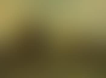Landscape with trees (preview)
