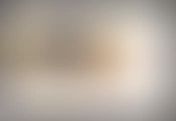 Il riccio (preview)