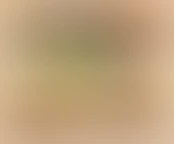 Hugellandschaft M. D. Schwarzen Sone (preview)