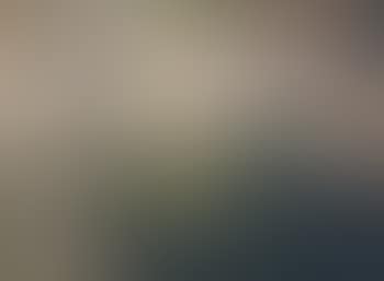 Sans titre (preview)
