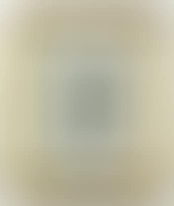 Virgils (preview)