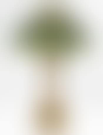 Venetian Table Lamp (preview)