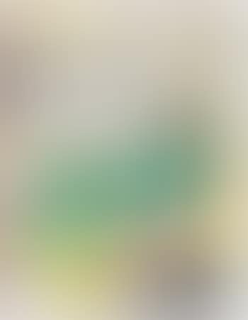 Invito al Crash! (preview)