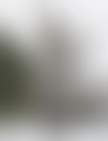 Idee di pietra (preview)