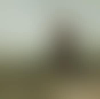 Untitled (Woman by the sea) (preview)