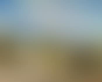 Landscape Cape Cod. House in the Dunes (preview)
