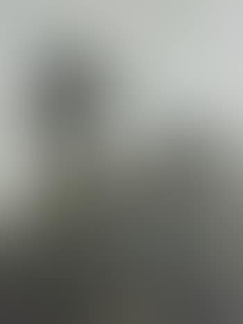 Farmer with Two Sheepdogs on a Mountain Top (preview)