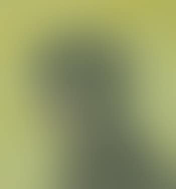 Portrait of a Young Boy (preview)