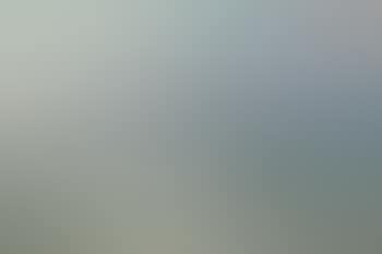 Biarritz (preview)