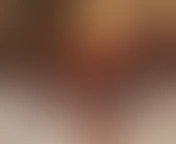 Winter sunset in a Pine Forest (preview)