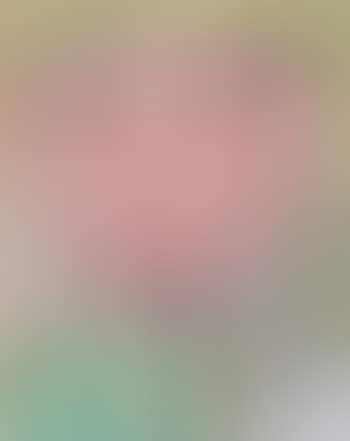 Another tulip (preview)