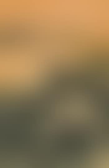 Dawn (preview)