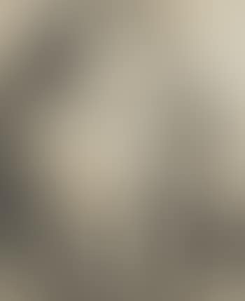 A self portrait (preview)