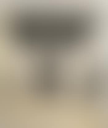 Visage (preview)