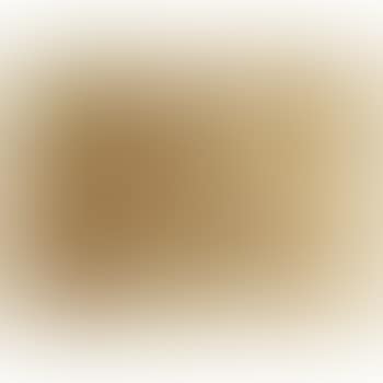 [Untitled] (preview)