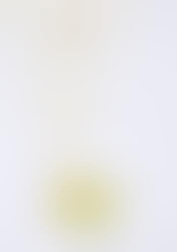 Sommerbild (Summer Painting) (preview)